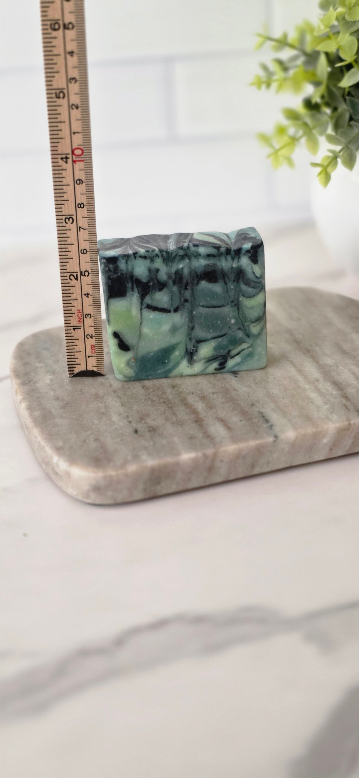 Eucalyptus spearmint